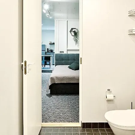 Lehola - Kontaktivaba Sissepaeaes